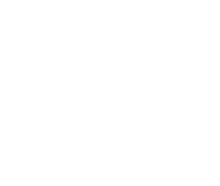 dn fencing & contracting logo upscaled white