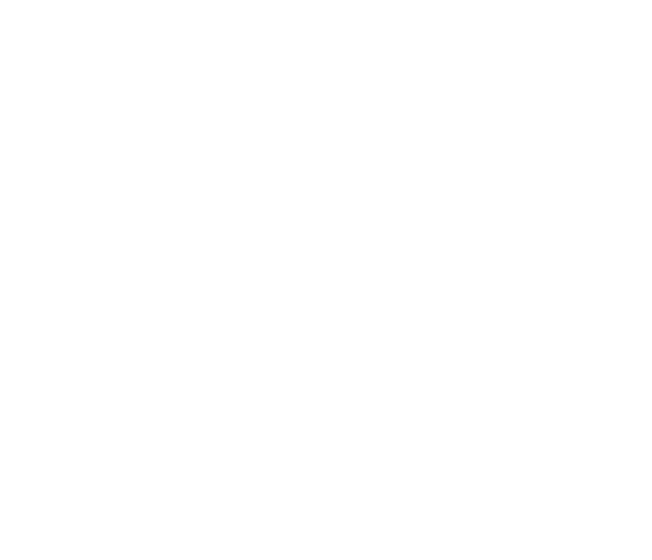dn fencing & contracting logo upscaled white